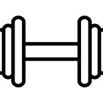 Pilates Props for Virtual Classes